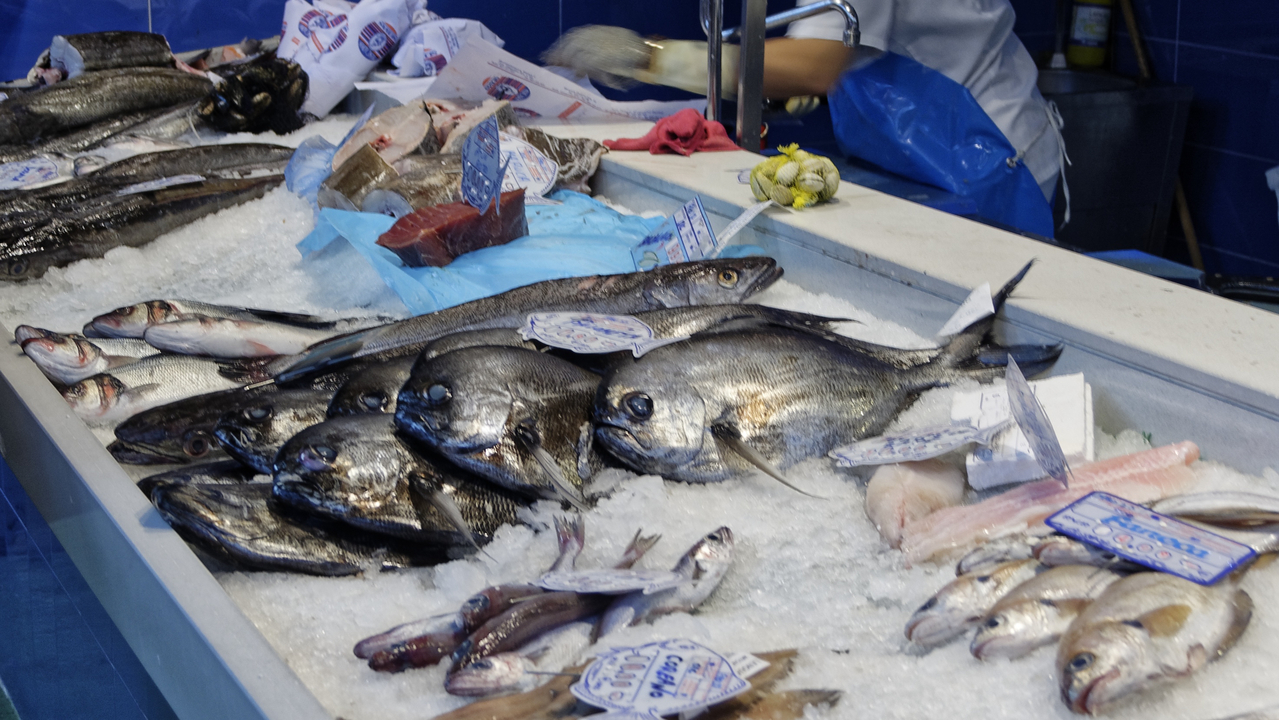 20141023 130802•Salamanca•Castile and Leon•Spain